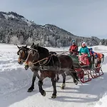 דירה Im Haus Sonnleiten Am Weissensee