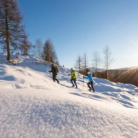 Im Haus Sonnleiten Am Weissensee アパート *