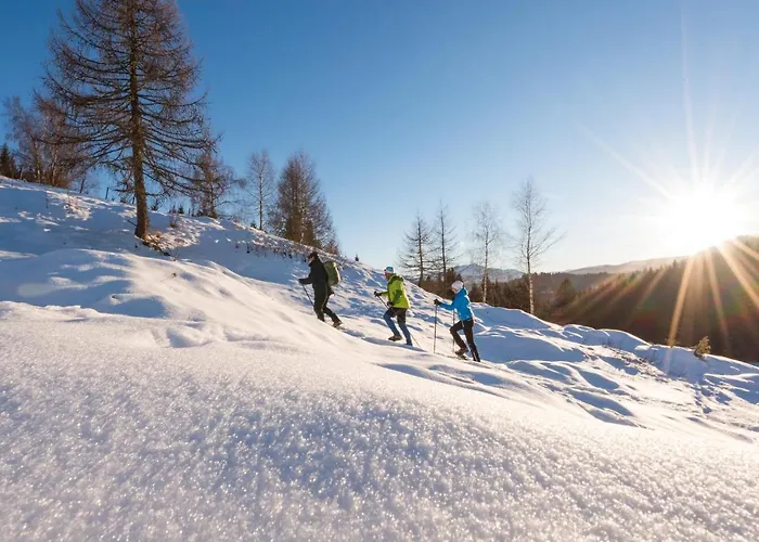 Im Haus Sonnleiten Am Weissensee Appartement *